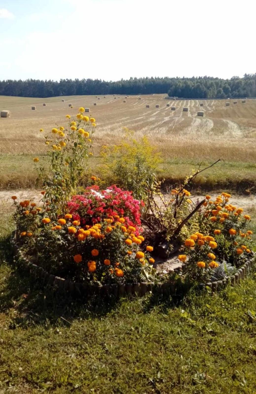 Wczasy Na Kaszubach U Hani В'єлє Екстер'єр фото